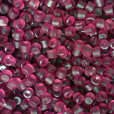 VIOLETKNOOPJES ASTRA