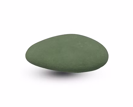 Sage | Suikerbonen mat nuance 1KG PC