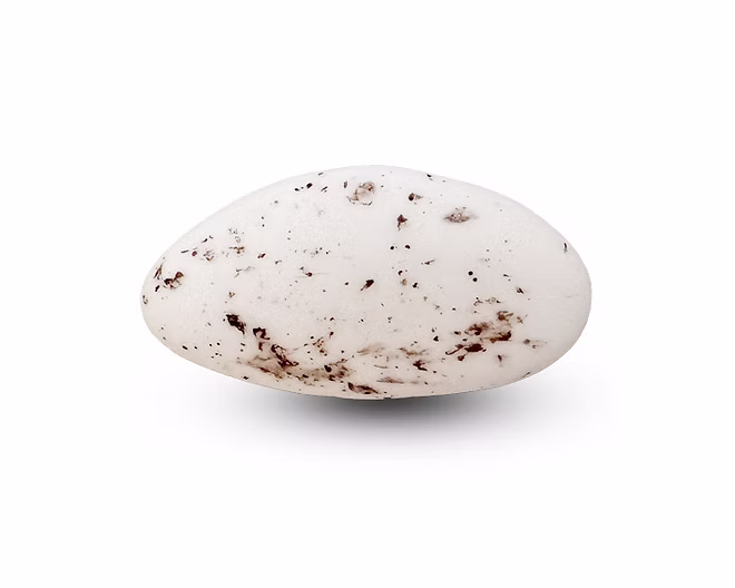Amandel marmer | Suikerbonen marmer 1KG PC